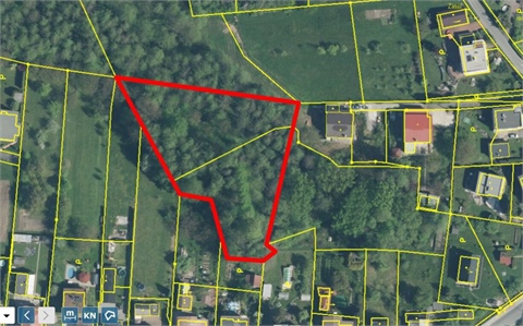 Prodej lesu, 3 922 m² - 0