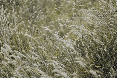 Prodej zemědělské půdy, 5 022 m² 2