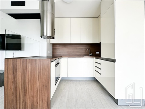 Pronájem bytu 2kk, 95 m² 6