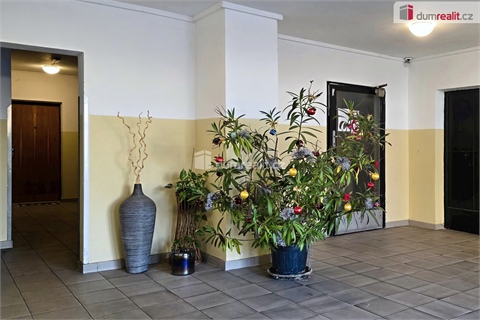 Prodej bytu 2+1, 52 m² 14