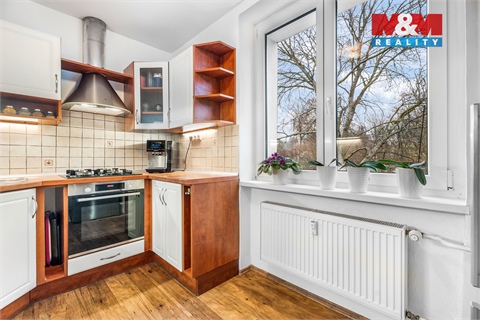 Prodej bytu 3+1, 63 m² 8