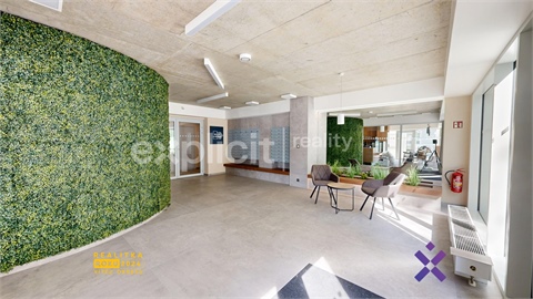 Pronájem bytu 1kk, 33 m² - 10