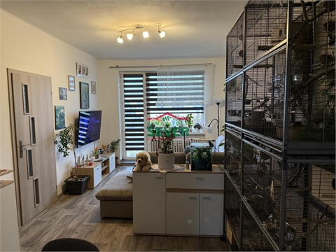 Prodej bytu 3+1, 61 m² 2