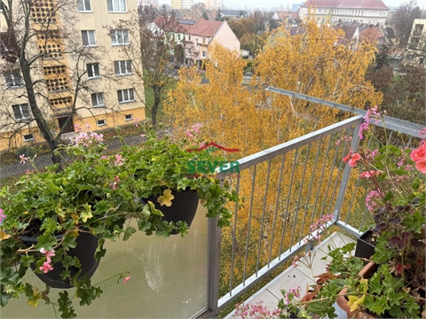 Prodej bytu 3+1, 61 m² - 14