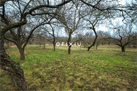 Prodej stavebního pozemku, 2 388 m² - 2