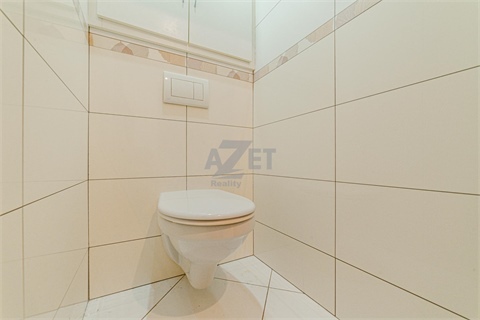 Pronájem bytu 3kk, 61 m² - 14