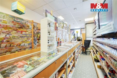 Pronájem obchodních prostor, 33 m² 6