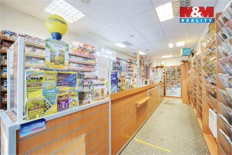 Pronájem obchodních prostor, 33 m² 4