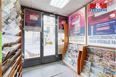 Pronájem obchodních prostor, 33 m² - 4