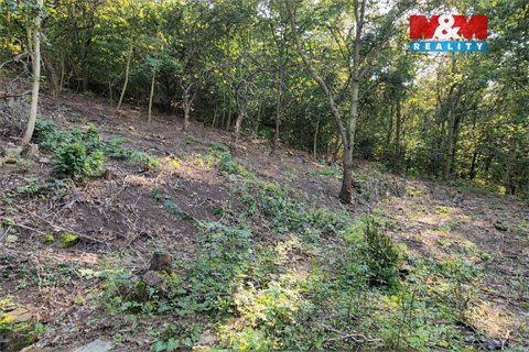 Prodej stavebního pozemku, 1 101 m² 2