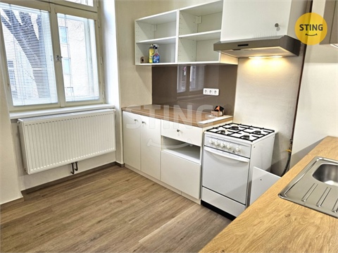 Pronájem bytu 1+1, 52 m² - 0