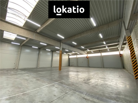 Pronájem skladu / haly, 1 300 m² 6