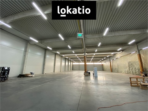 Pronájem skladu / haly, 1 300 m² 4
