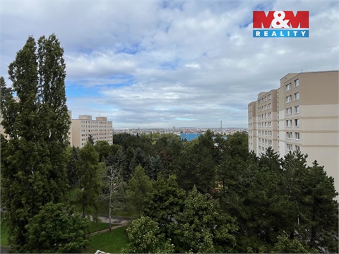 Pronájem bytu 3+1, 65 m² 8