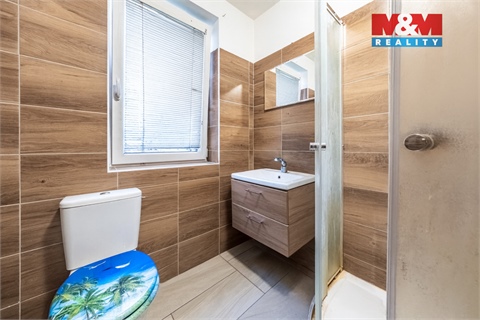 Prodej rodinného domu, 250 m² - 6