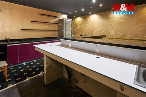 Pronájem obchodních prostor, 205 m² - 8