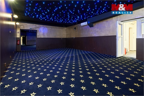 Pronájem obchodních prostor, 205 m² - 10