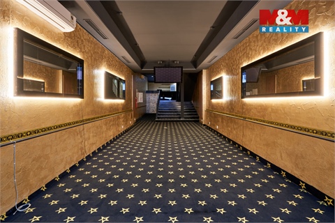 Pronájem obchodních prostor, 205 m² - 4