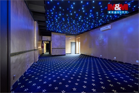 Pronájem obchodních prostor, 205 m² - 12