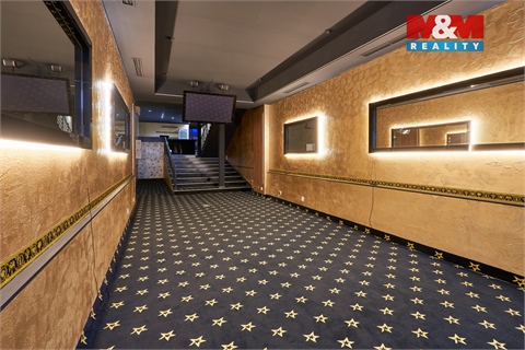 Pronájem obchodních prostor, 205 m² 4
