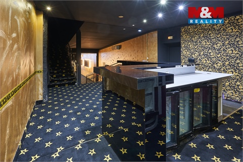 Pronájem obchodních prostor, 205 m² 2