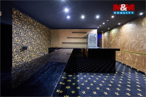Pronájem obchodních prostor, 205 m² - 6