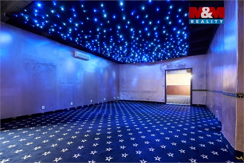 Pronájem obchodních prostor, 205 m² - 0