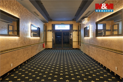 Pronájem obchodních prostor, 205 m² - 2