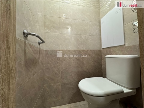 Pronájem bytu 3+1, 81 m² - 8