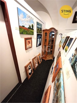 Pronájem obchodních prostor, 70 m² - 6