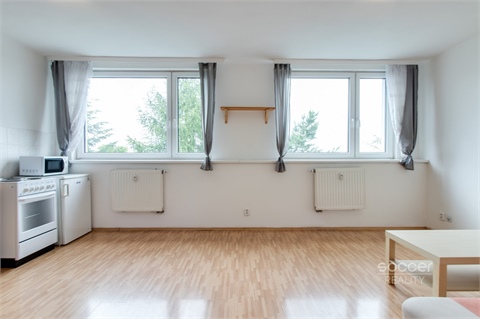 Pronájem bytu 1kk, 29 m² 4