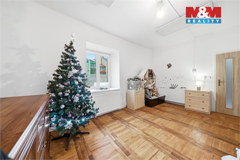 Prodej rodinného domu, 424 m² 18