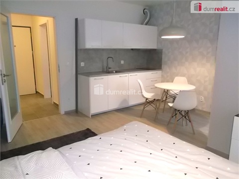 Pronájem bytu 1kk, 33 m² - 4