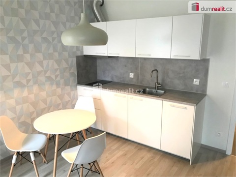 Pronájem bytu 1kk, 33 m² 8