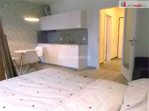 Pronájem bytu 1kk, 33 m² 2