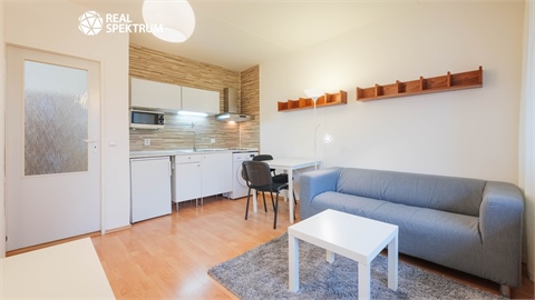 Prodej bytu 1kk, 30 m² - 0