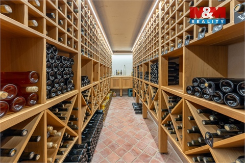 Prodej vinného sklepu, 188 m² - 0
