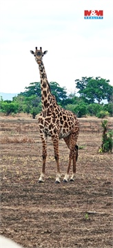 Prodej rodinného domu, 115 m² - 16