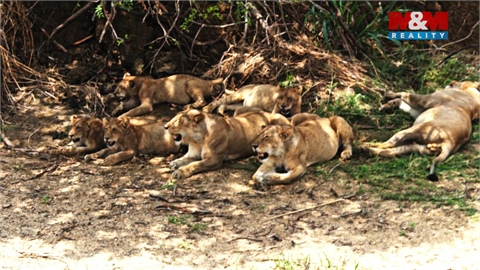 Prodej rodinného domu, 115 m² - 18