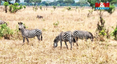 Prodej rodinného domu, 115 m² 18