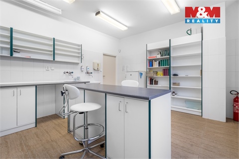 Pronájem komerčního objektu, 181 m² 10