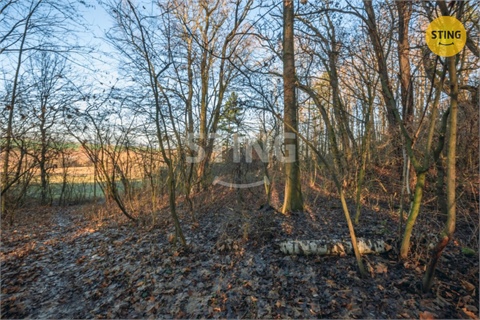 Prodej stavebního pozemku, 2 696 m² - 8