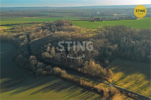 Prodej stavebního pozemku, 2 696 m² - 12