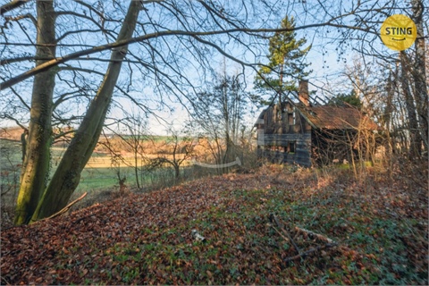 Prodej stavebního pozemku, 2 696 m² - 6