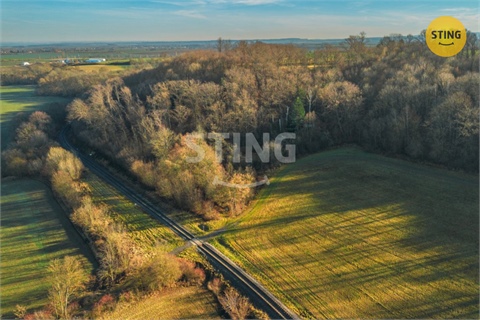 Prodej stavebního pozemku, 2 696 m² 2