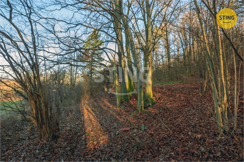 Prodej stavebního pozemku, 2 696 m² - 4