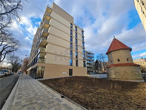 Prodej obchodních prostor, 113 m² 6