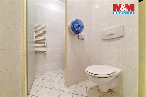 Prodej obchodních prostor, 101 m² - 18