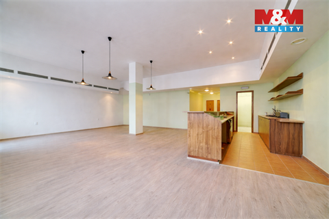 Prodej obchodních prostor, 147 m² - 6