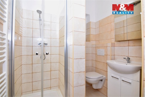 Pronájem bytu 1+1, 36 m² 8